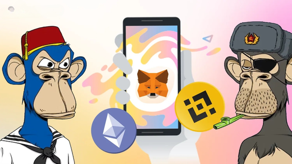 Guide to Creating a Metamask Wallet for Storing NFTs & Tokens